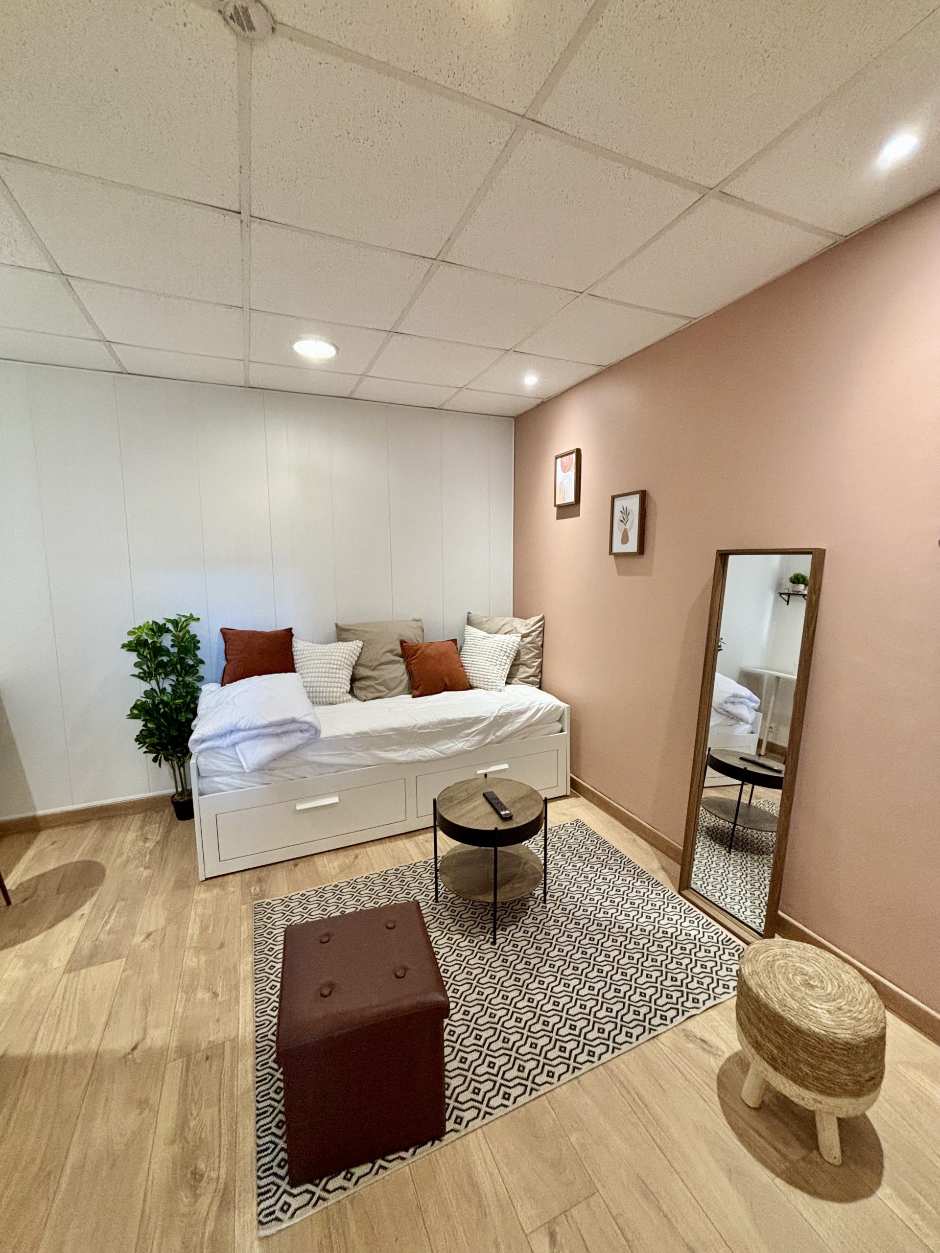 projet décoration salon dijon