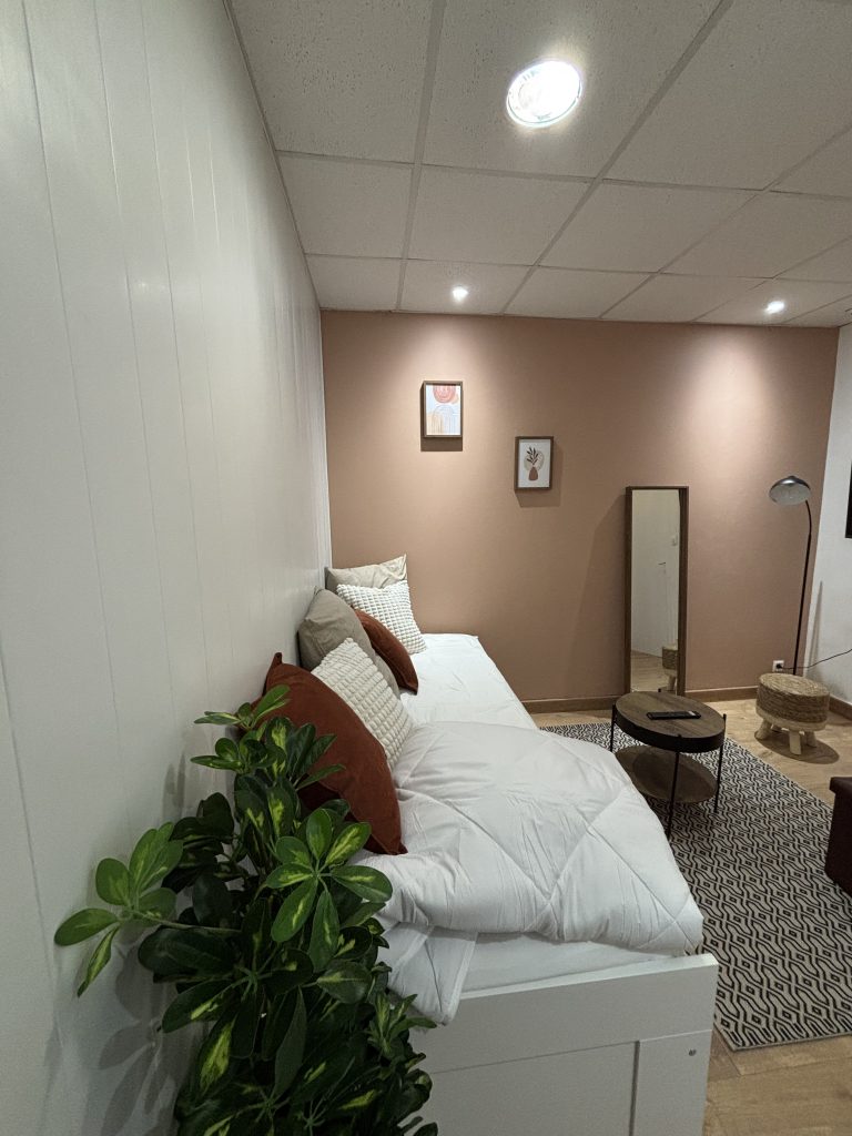 projet decoration salon dijon